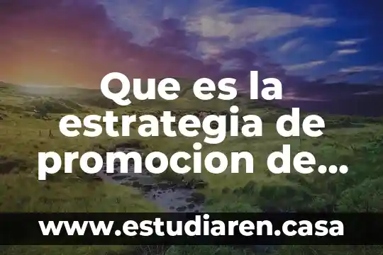 Gerente de ventas que es 3 Que es la estrategia de promocion de ventas