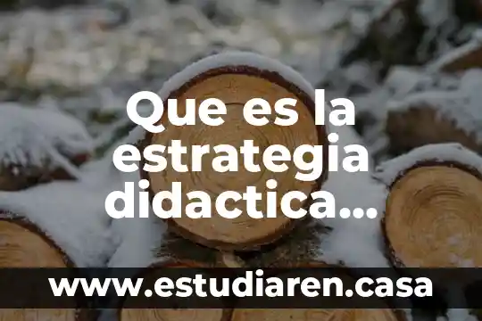 Que es la estrategia didactica segun autores