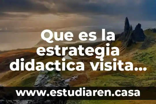 Que es la estrategia didactica visita en educacion fisica