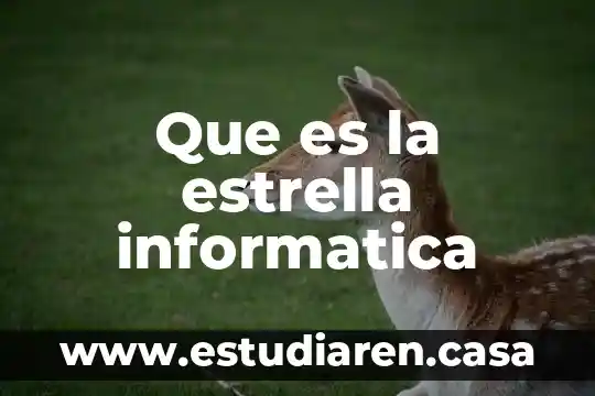 Que es la estrella informatica