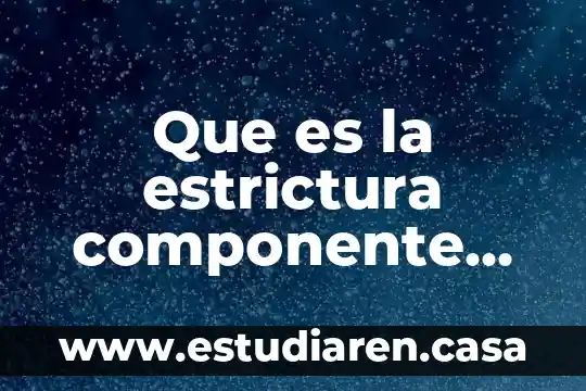 Qué es el inside en marketing 3 Que es la estrictura componente en marketing