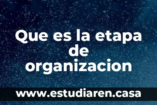 Que es la etapa de organizacion