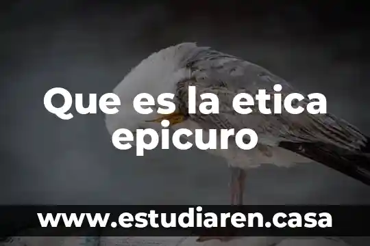 Que es la etica ambiental 5 Que es la etica epicuro