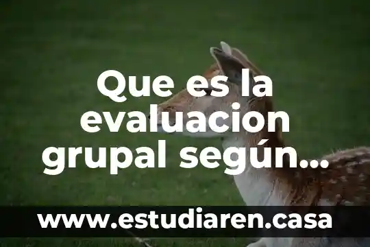 Que es la evaluacion grupal según ausubel