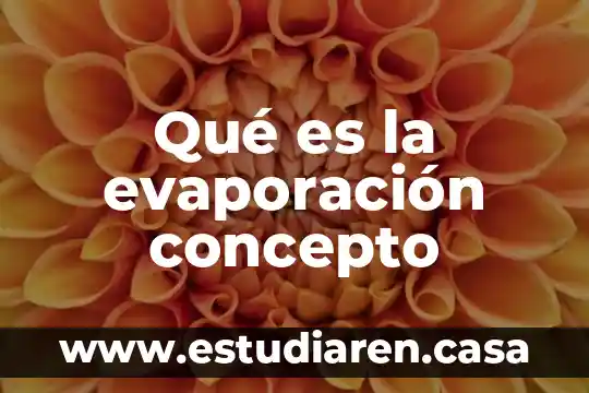Concepto de mol 4 Qué es la evaporación concepto