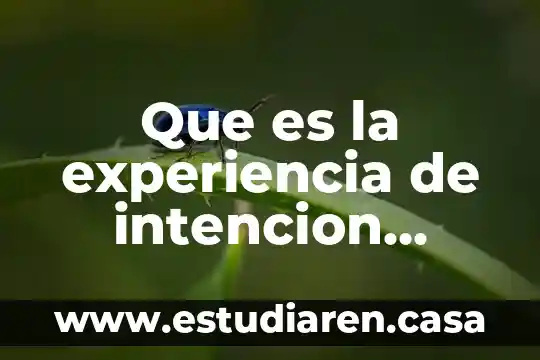 Qué es una carta de intención UABC 5 Que es la experiencia de intencion comunicativa del texto narración