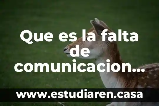 Que es la falta de comunicacion prezi