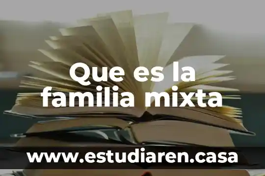 Que es una fraccion mixta y ejemplo 5 Que es la familia mixta