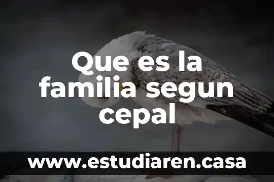 Que es una familia extensa o consanguínea 4 Que es la familia segun cepal