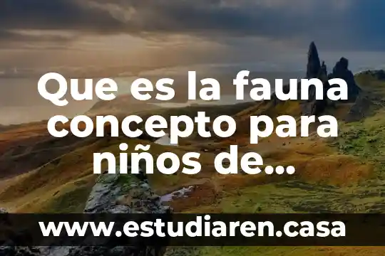 Que es la fauna de la costa 7 Que es la fauna concepto para niños de primaria