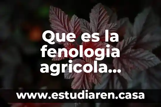 Qué es el colesterol HDL y cuál es su importancia 6 Que es la fenologia agricola importancia