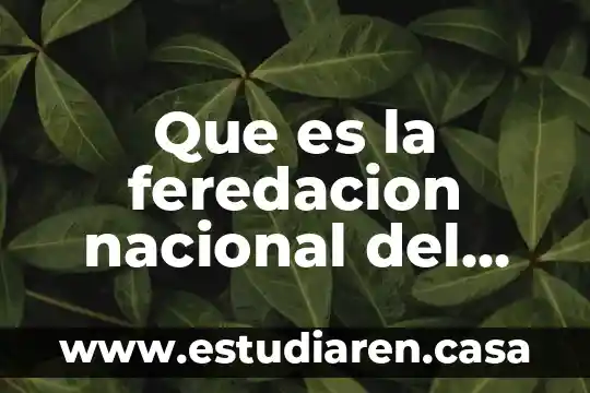 Que es la feredacion nacional del ciclismo