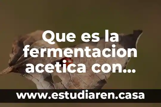 Que es una ecuacion quimica que indica el coeficientes 3 Que es la fermentacion acetica con ecuacion quimica