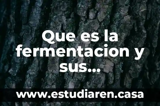 Que es la fermentacion y sus caracteristicas