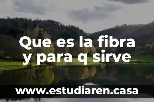 Que es la fibra y para q sirve