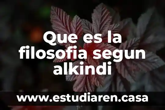 Desarrollo del lenguaje del niño que es según judith meece 5 Que es la filosofia segun alkindi