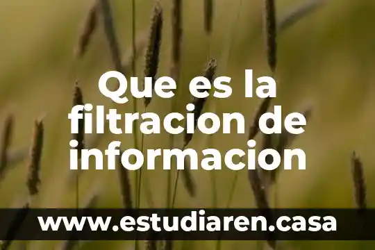 Que es la filtracion de informacion