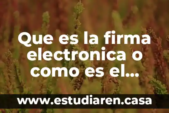 Que es la firma electronica o como es el documento
