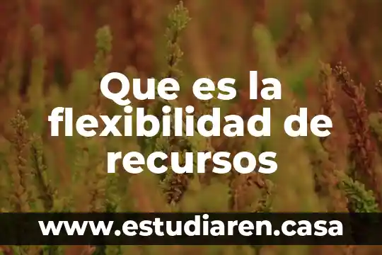 Que es la flexibilidad de recursos