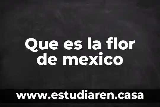 Que es la flor de mexico