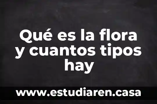 Qué es la flora y cuantos tipos hay