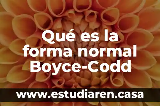 Que es la forma binaria en musica 6 Qué es la forma normal Boyce-Codd