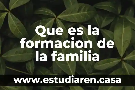 Que es una familia extensa o consanguínea 6 Que es la formacion de la familia