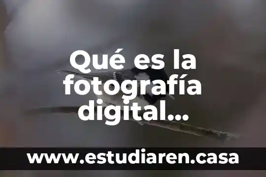 Qué es la fluidez digital 7 Qué es la fotografía digital resumen