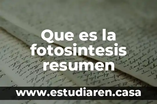 Que es la fotosintesis resumen
