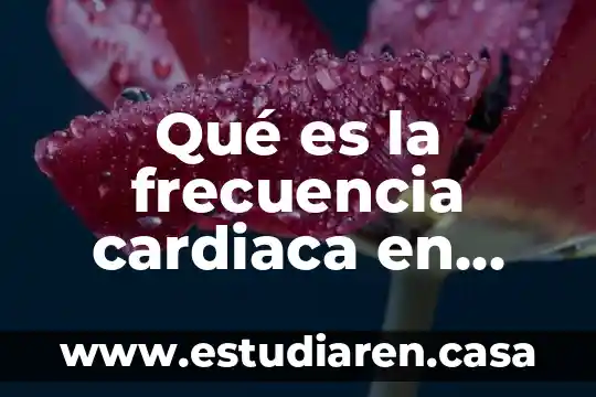 Qué es la fuerza de la actividad cardiaca 4 Qué es la frecuencia cardiaca en actividad física