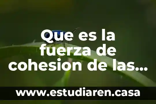 Que es la revadilacion de materias 3 Que es la fuerza de cohesion de las materias