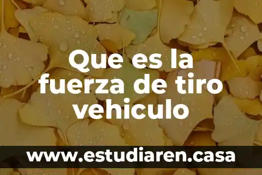 Por que es importante aprender a manejar vehiculo 6 Que es la fuerza de tiro vehiculo