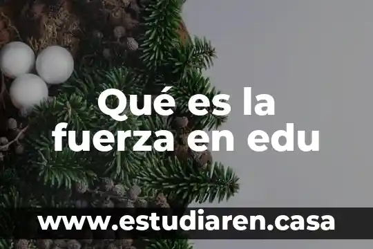 Que es la fuerza de cohesion del estado liquido 7 Qué es la fuerza en edu