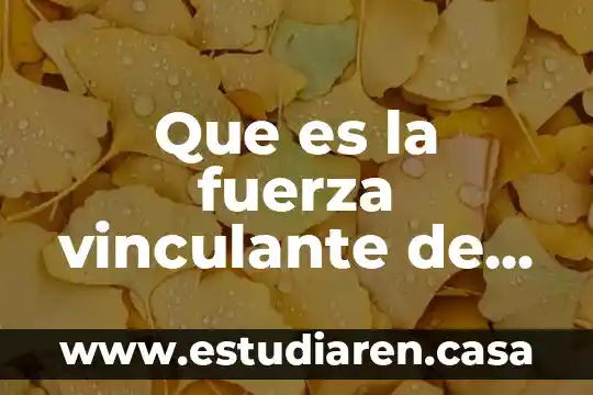 Que es la fuerza vinculante de los convenios colectivos