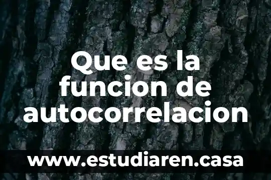 Que es la funcion de autocorrelacion