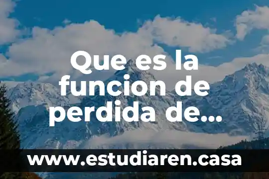 Qué es la pérdida del usufructo en derecho civil 5 Que es la funcion de perdida de taguchi