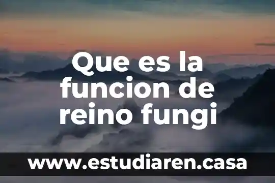 Que es la funcion de reino fungi