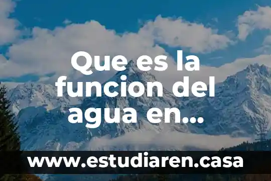Que es la funcion del agua en nuestra nutricion