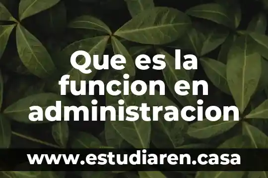 Que es la funcion en administracion