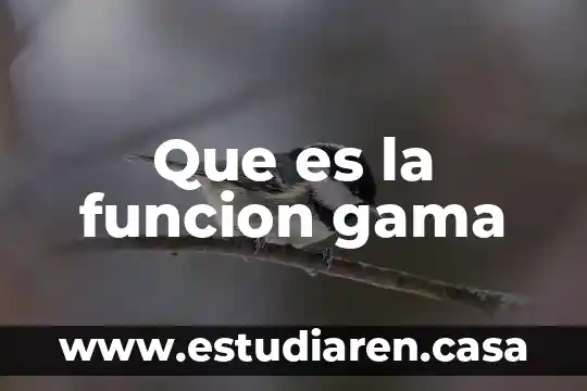 Que es una linea y gama de productos 5 Que es la funcion gama