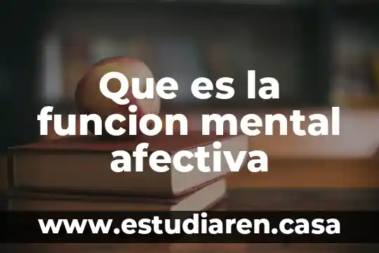 Que es la funcion mental afectiva