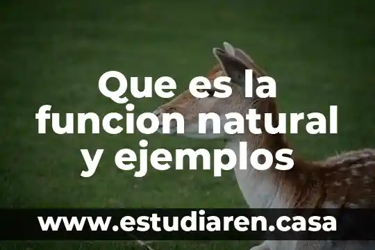 Que es sistema de organizacion 5 Que es la funcion natural y ejemplos