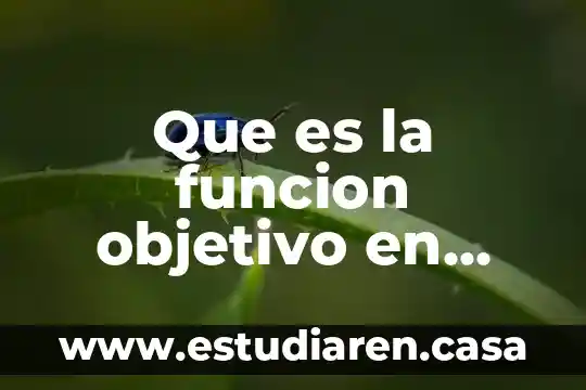 ¿Qué es más difícil álgebra lineal o cálculo vectorial? 3 Que es la funcion objetivo en programacion lineal