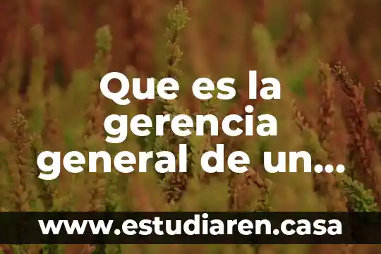 Qué es planificación en gerencia general 7 Que es la gerencia general de un hotel