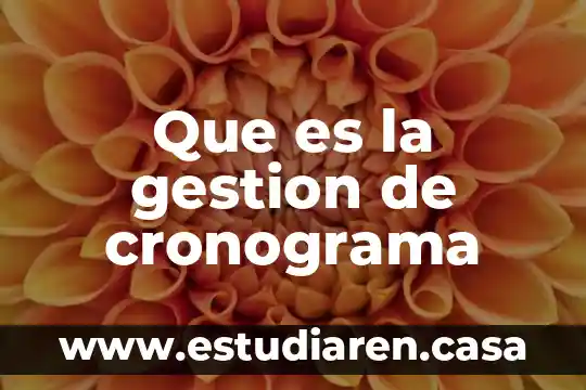 Que es una cronograma de actividades 4 Que es la gestion de cronograma