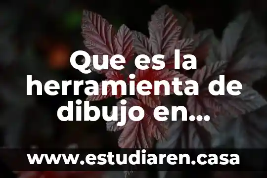Que es la herramienta de dibujo en animacion