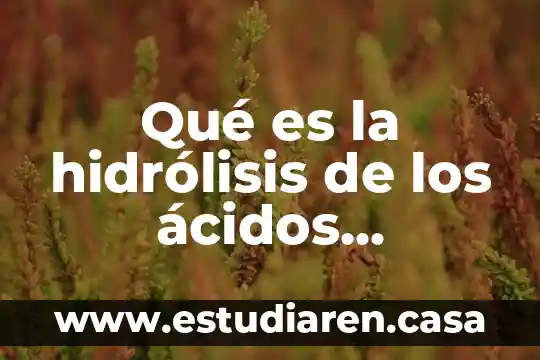 Qué es ácidos binarios y usos 3 Qué es la hidrólisis de los ácidos nucleicos