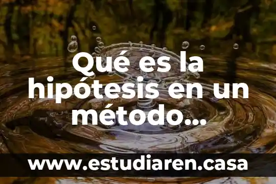 Que es el formato cientifico 8 Qué es la hipótesis en un método científico