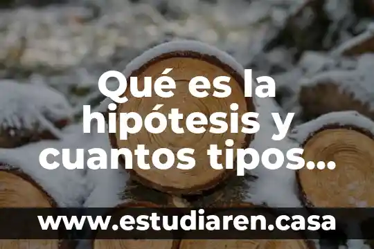 Qué es la hipótesis y cuantos tipos hay