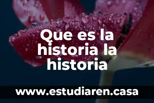 Que es la periodixacion de la historia 8 Que es la historia la historia
